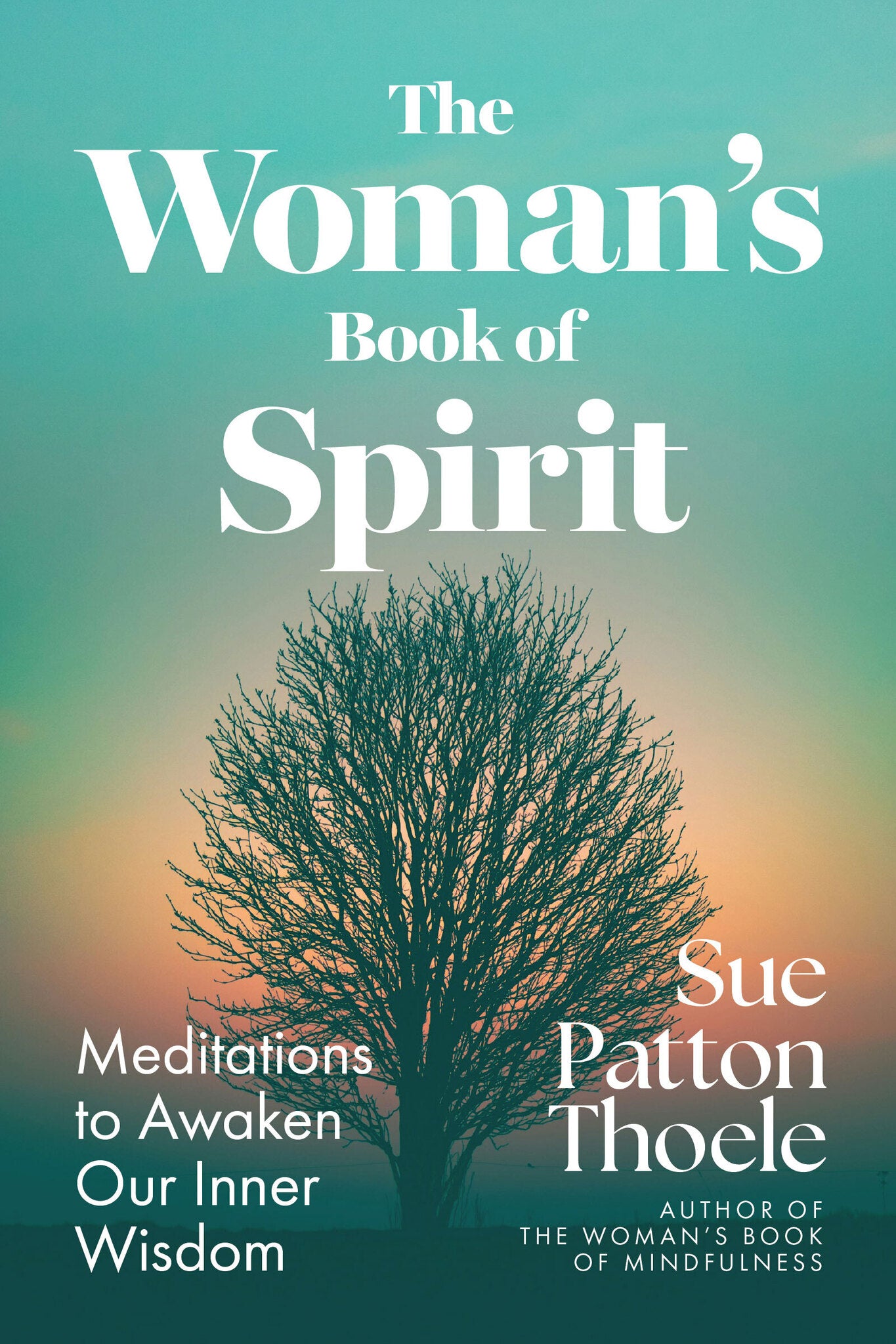 Cover image for The Woman's Book of Spirit ISBN 9781971869032